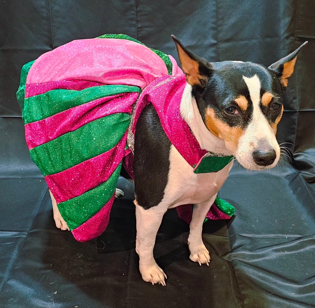 Wicked glitter embroidered pet dress, pink and green wicked pet dress