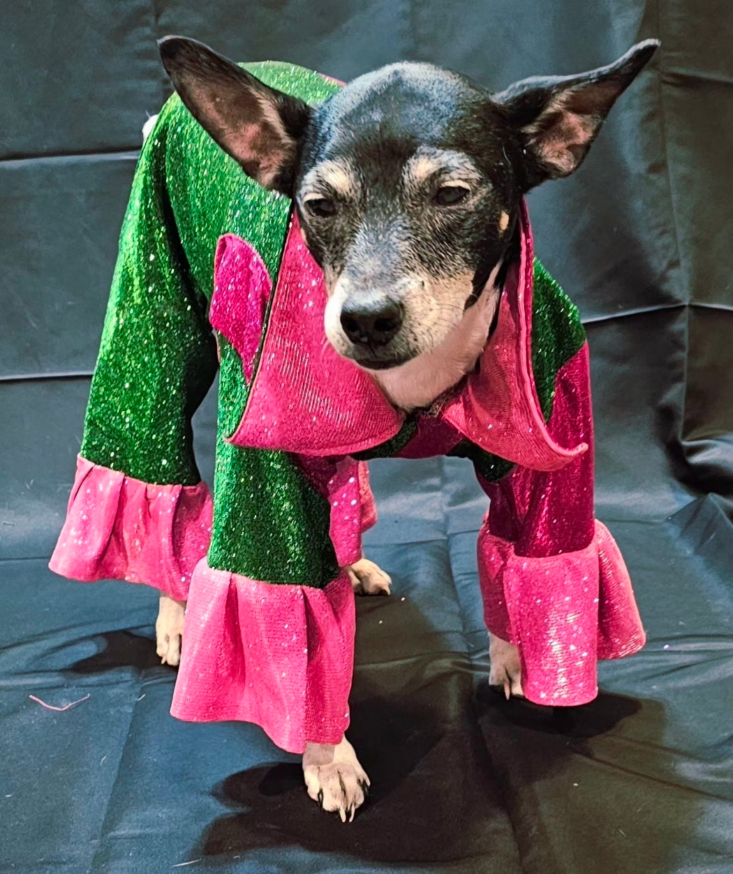 Wicked pet body suit, glitter wicked pet body suit, wicked pet costume