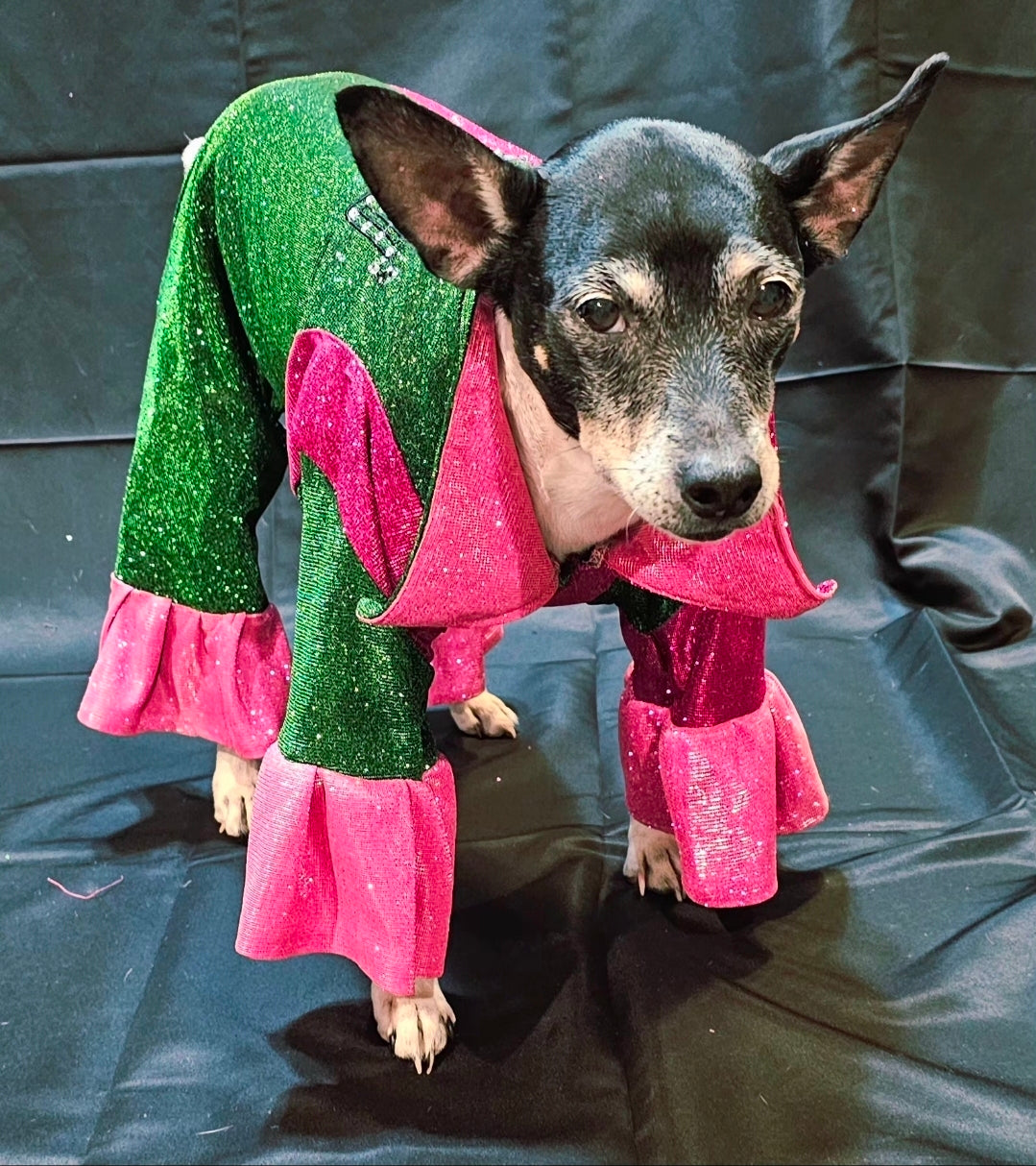 Wicked pet body suit, glitter wicked pet body suit, wicked pet costume