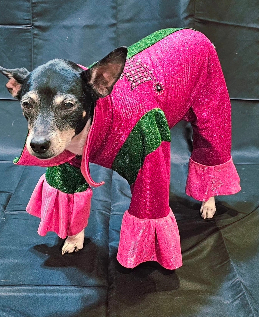 Wicked pet body suit, glitter wicked pet body suit, wicked pet costume