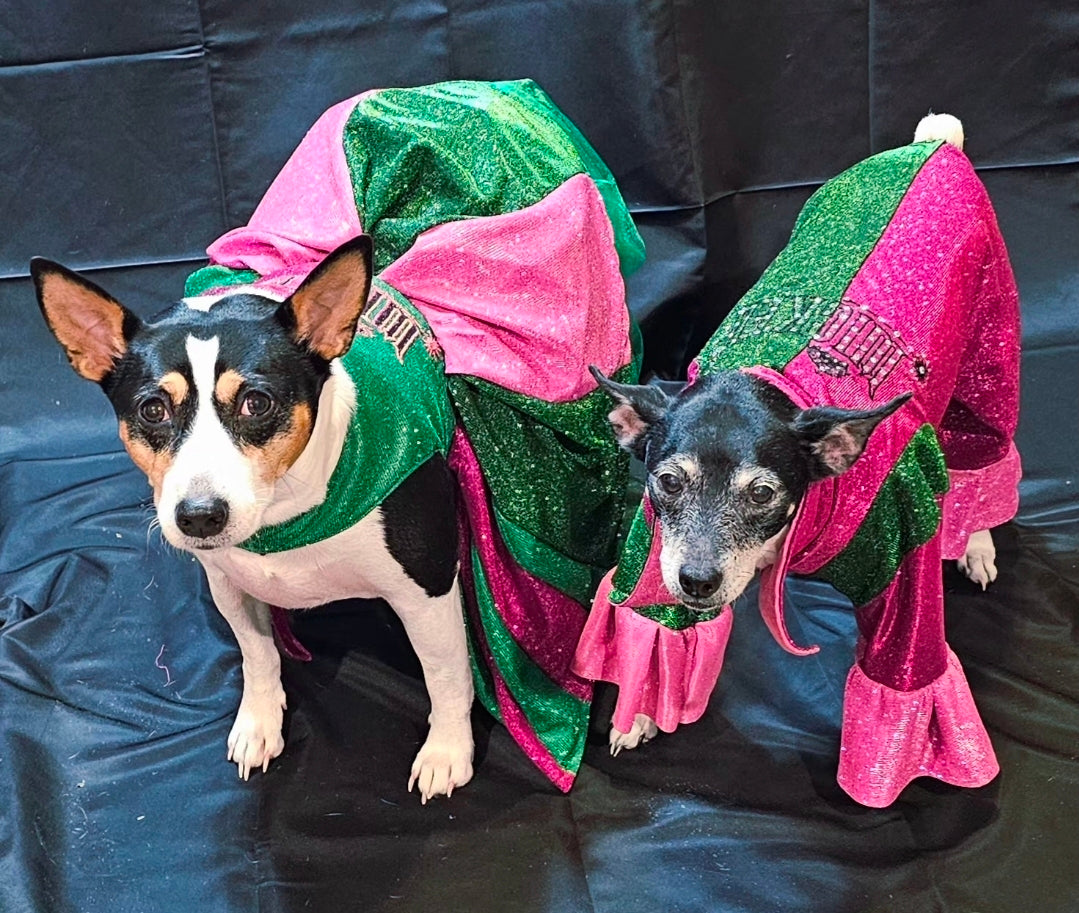 Wicked pet body suit, glitter wicked pet body suit, wicked pet costume