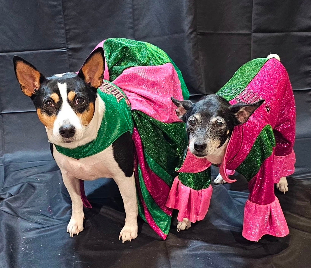 Wicked pet body suit, glitter wicked pet body suit, wicked pet costume