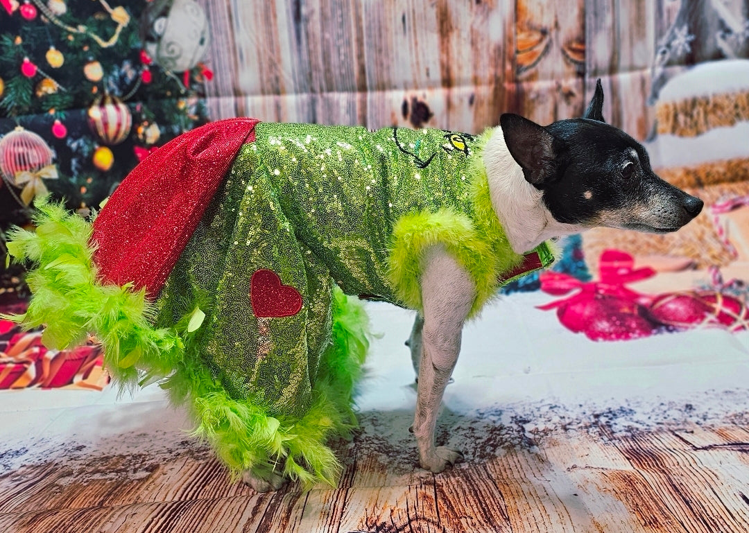 Grinch pet dress, glitter grinch pet dress, sequin glitter dog dress, grinch cat dress
