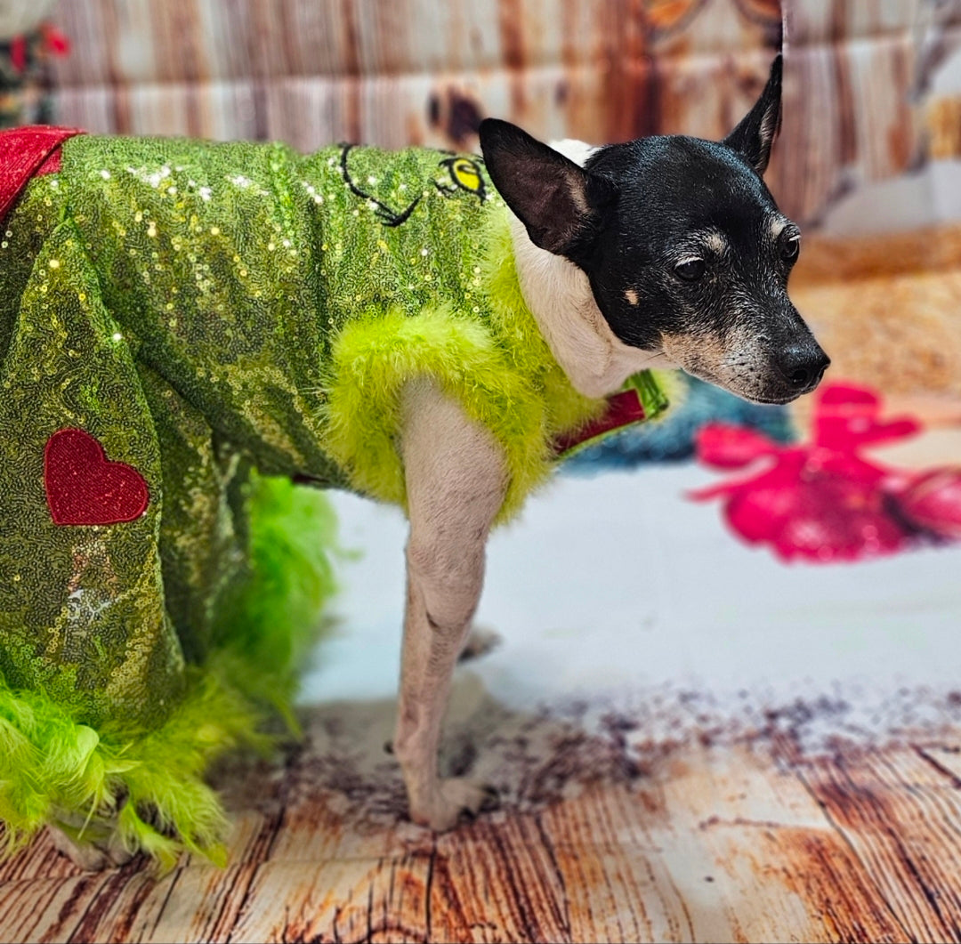 Grinch pet dress, glitter grinch pet dress, sequin glitter dog dress, grinch cat dress