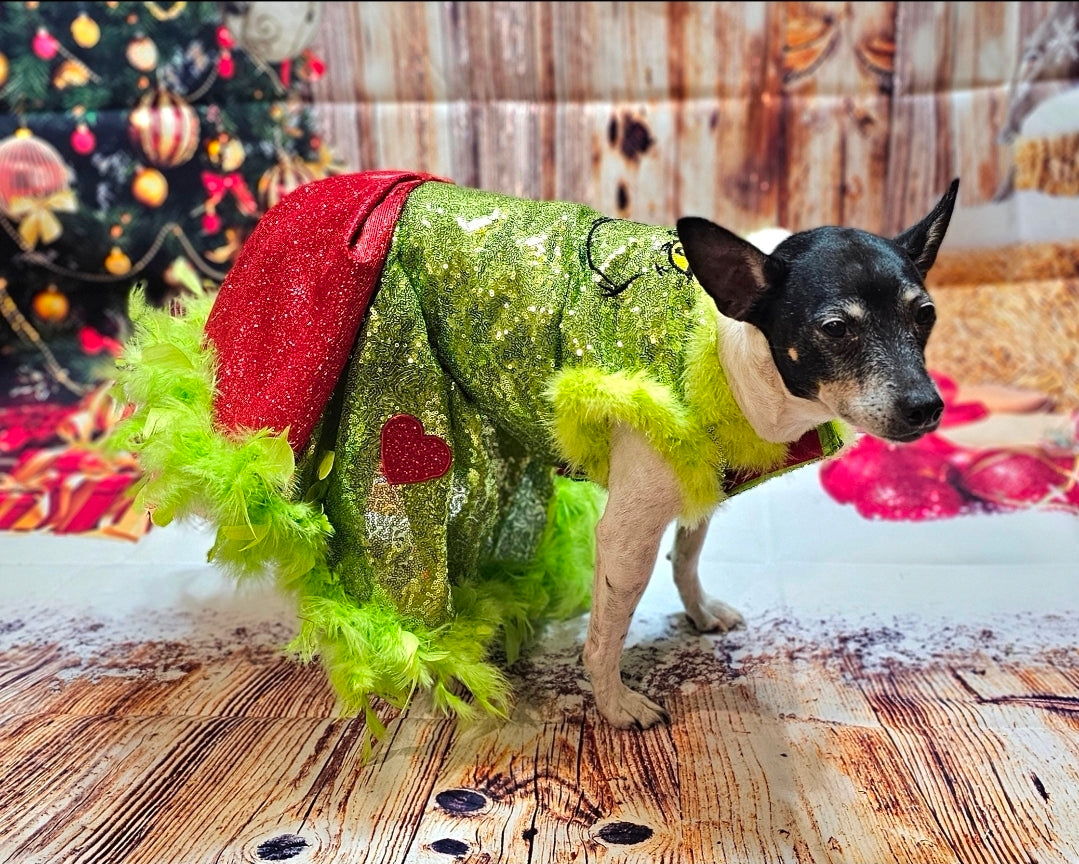 Grinch pet dress, glitter grinch pet dress, sequin glitter dog dress, grinch cat dress