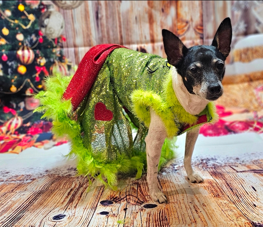 Grinch pet dress, glitter grinch pet dress, sequin glitter dog dress, grinch cat dress