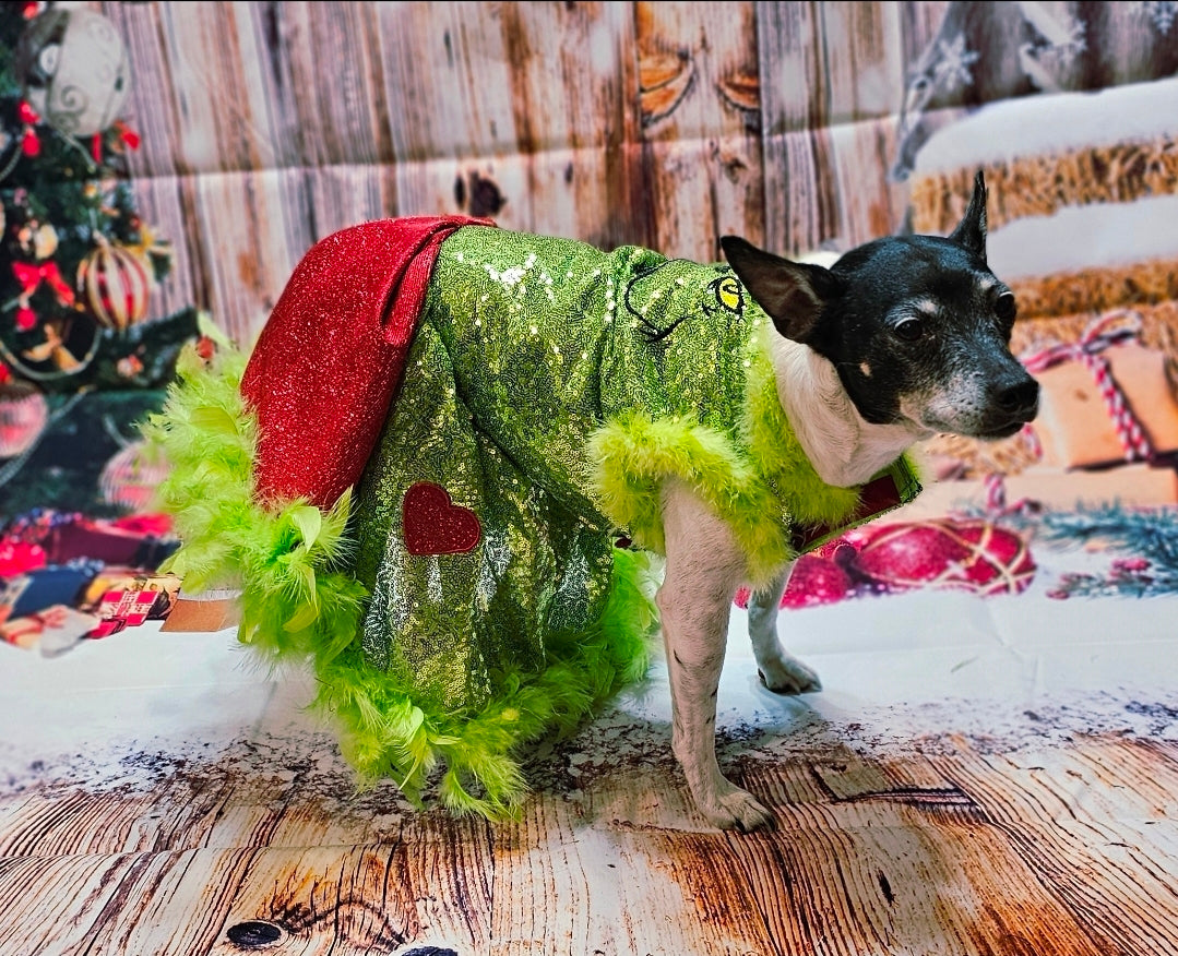 Grinch pet dress, glitter grinch pet dress, sequin glitter dog dress, grinch cat dress