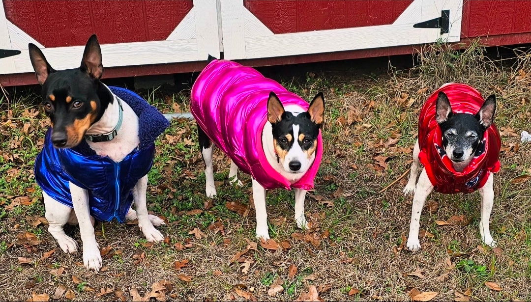 Pet puffer jacket, puffer dog jacket, metallic pet jacket, Houston texan dog jacket, pet puffer jacket, winter pet jacket, jackets for dogs