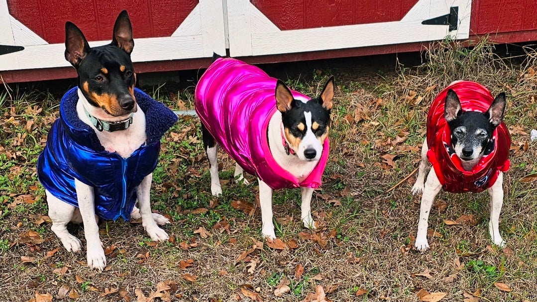 Pet puffer jacket, puffer dog jacket, metallic pet jacket, Houston texan dog jacket, pet puffer jacket, winter pet jacket, jackets for dogs