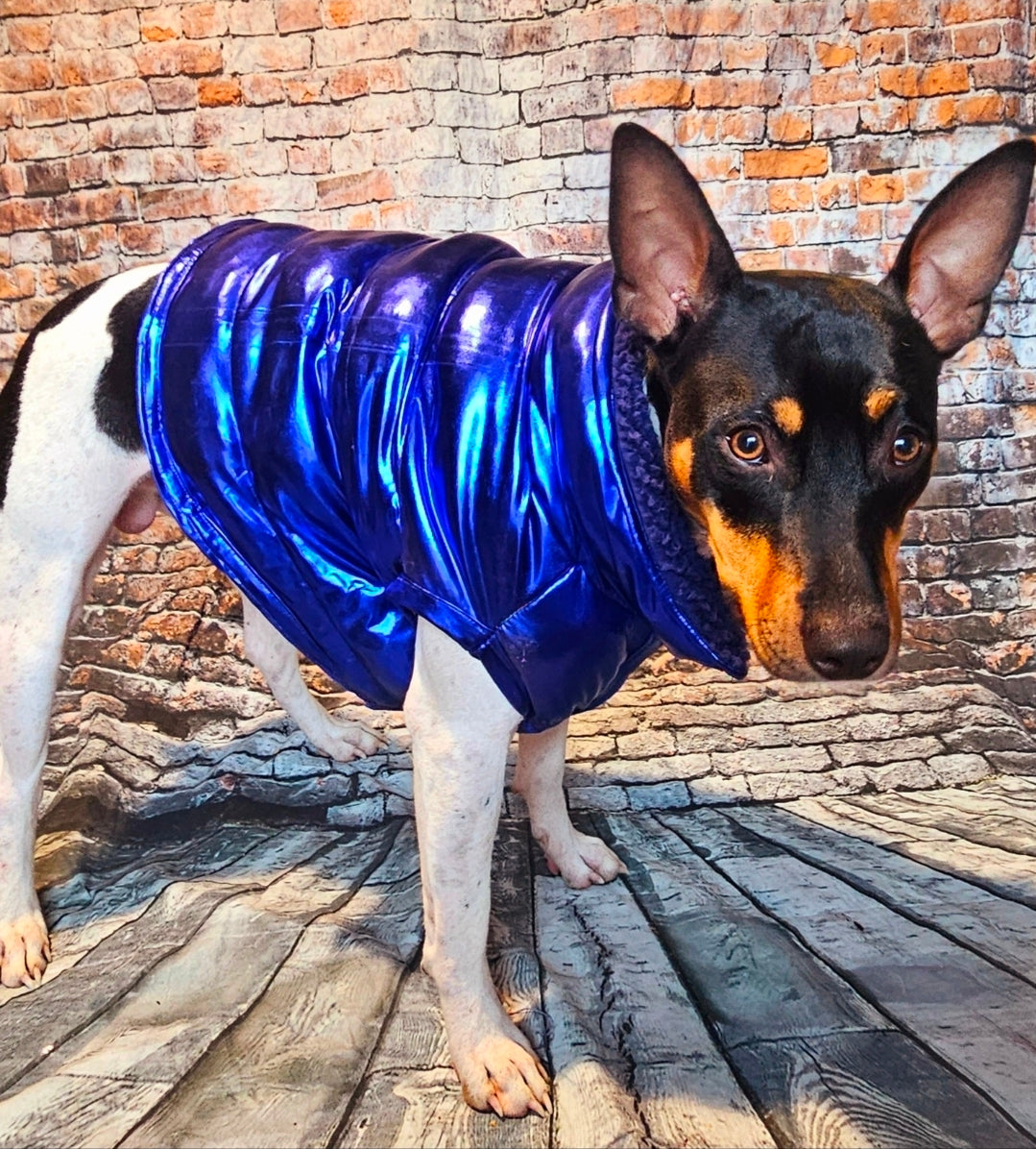 Pet puffer jacket, puffer dog jacket, metallic pet jacket, Houston texan dog jacket, pet puffer jacket, winter pet jacket, jackets for dogs