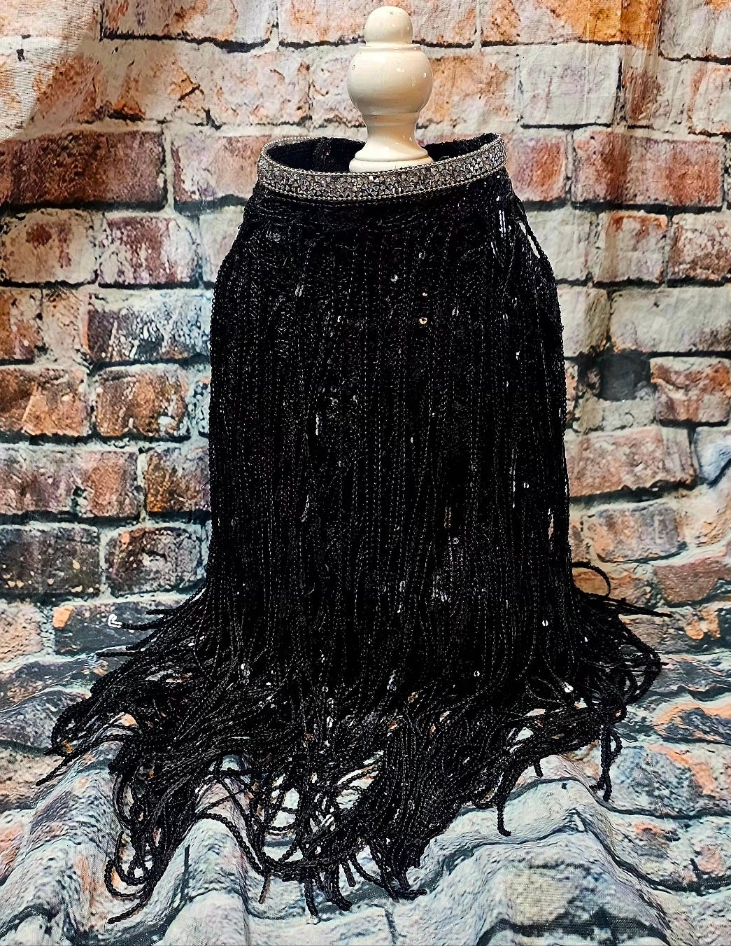 Sequin fringe pet shirt