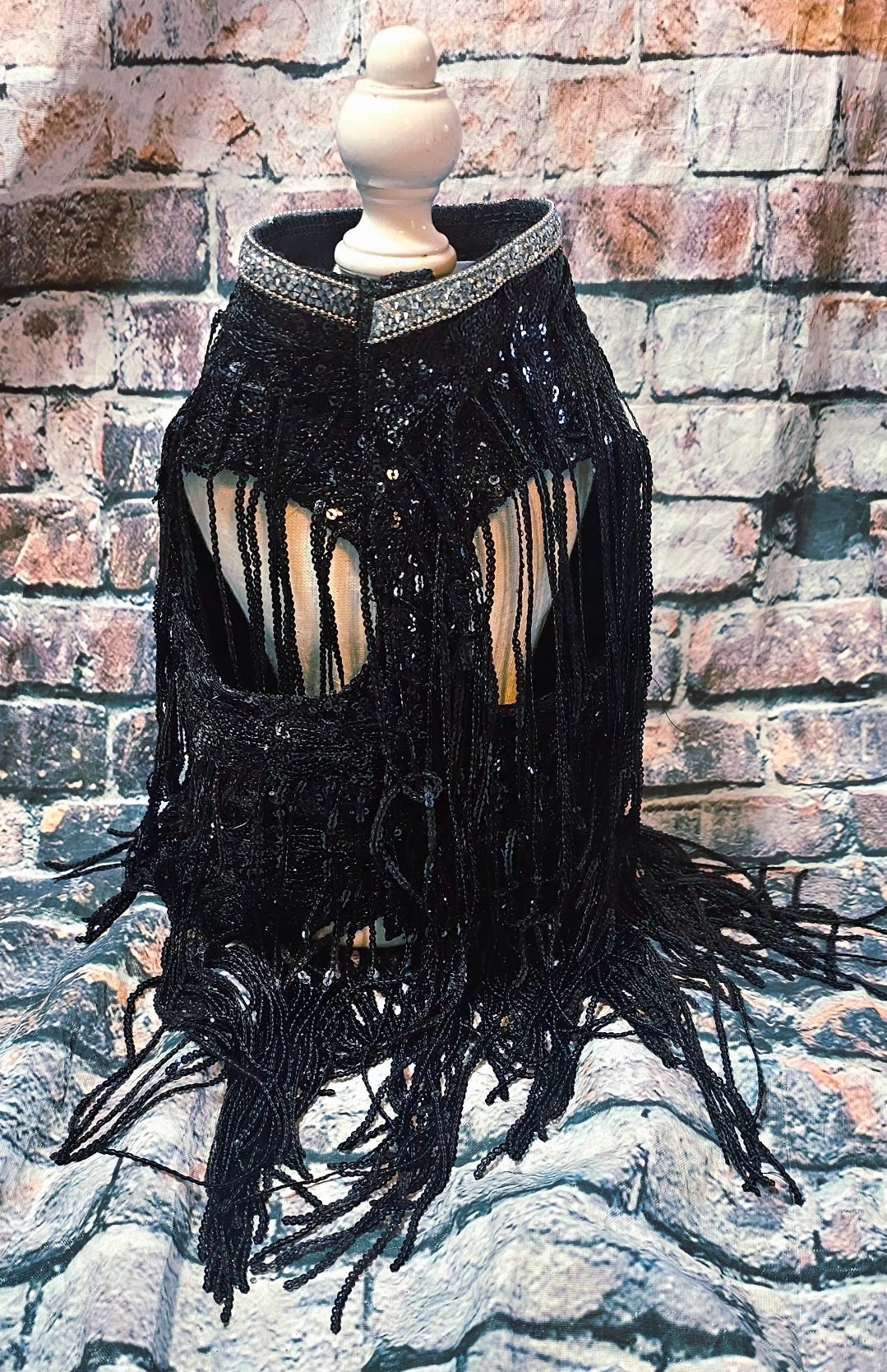 Sequin fringe pet shirt