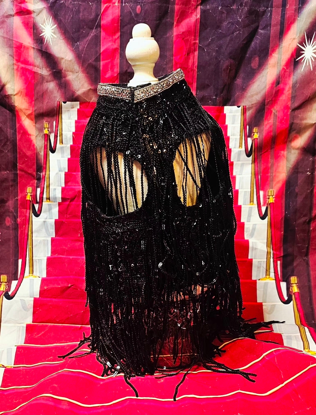 Sequin fringe pet shirt