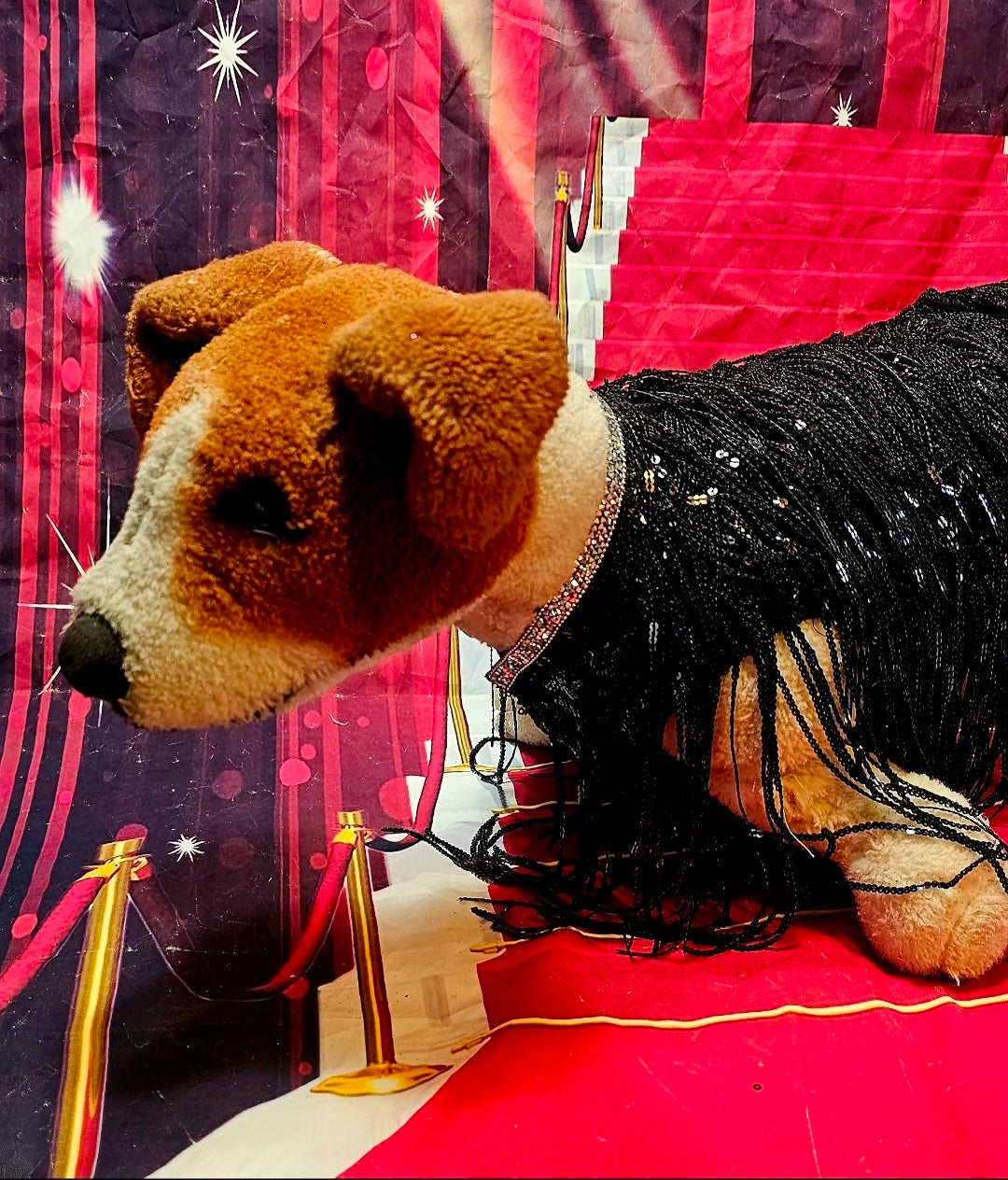 Sequin fringe pet shirt