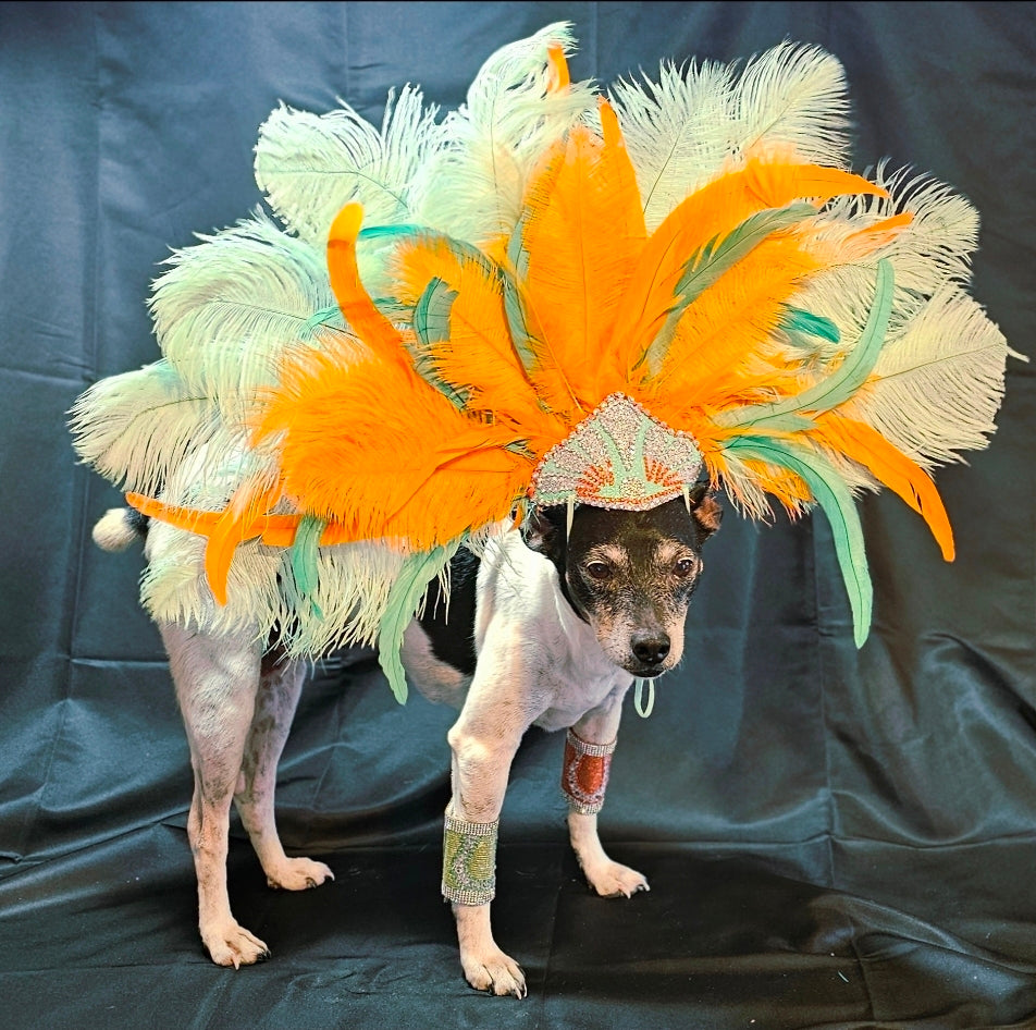Showgirl Pet Headress, feather headress for dogs