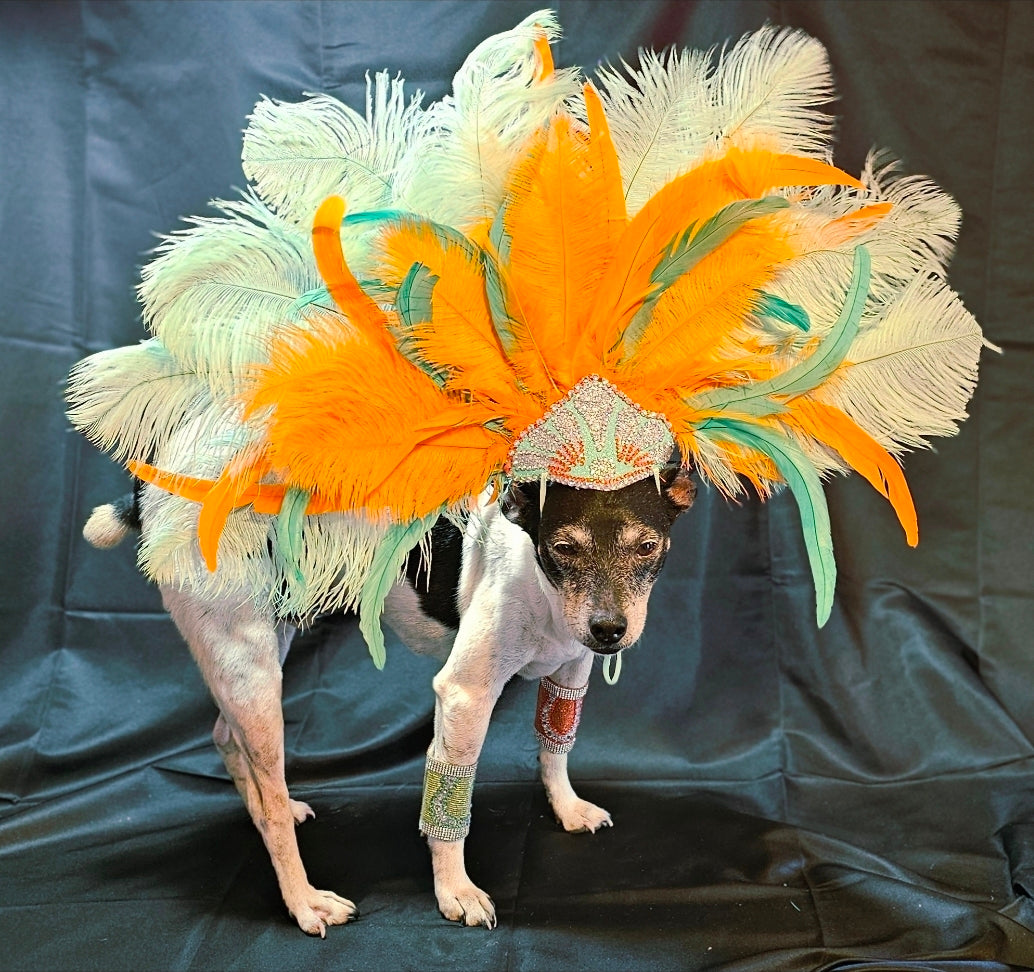 Showgirl Pet Headress, feather headress for dogs
