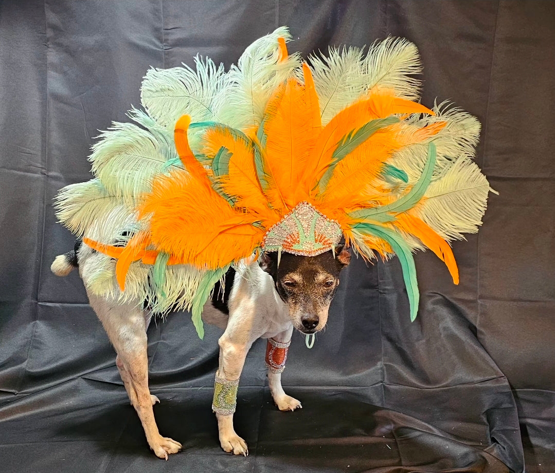 Showgirl Pet Headress, feather headress for dogs