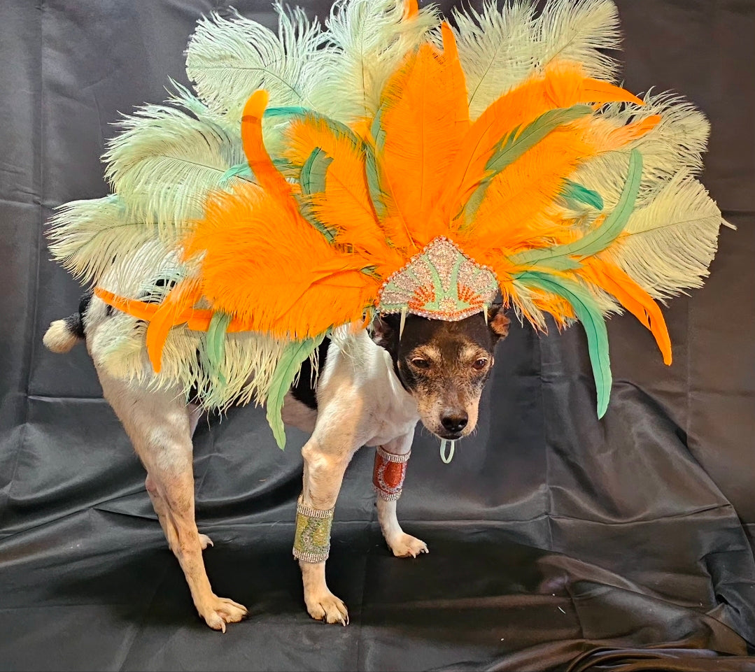 Showgirl Pet Headress, feather headress for dogs