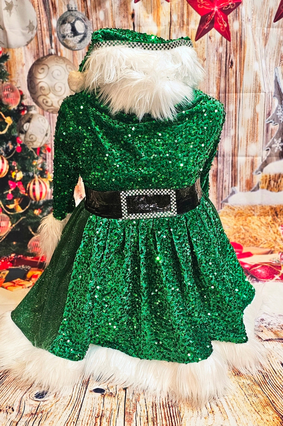 Green Miss Claus sequin pet costume, sequin green pet dress