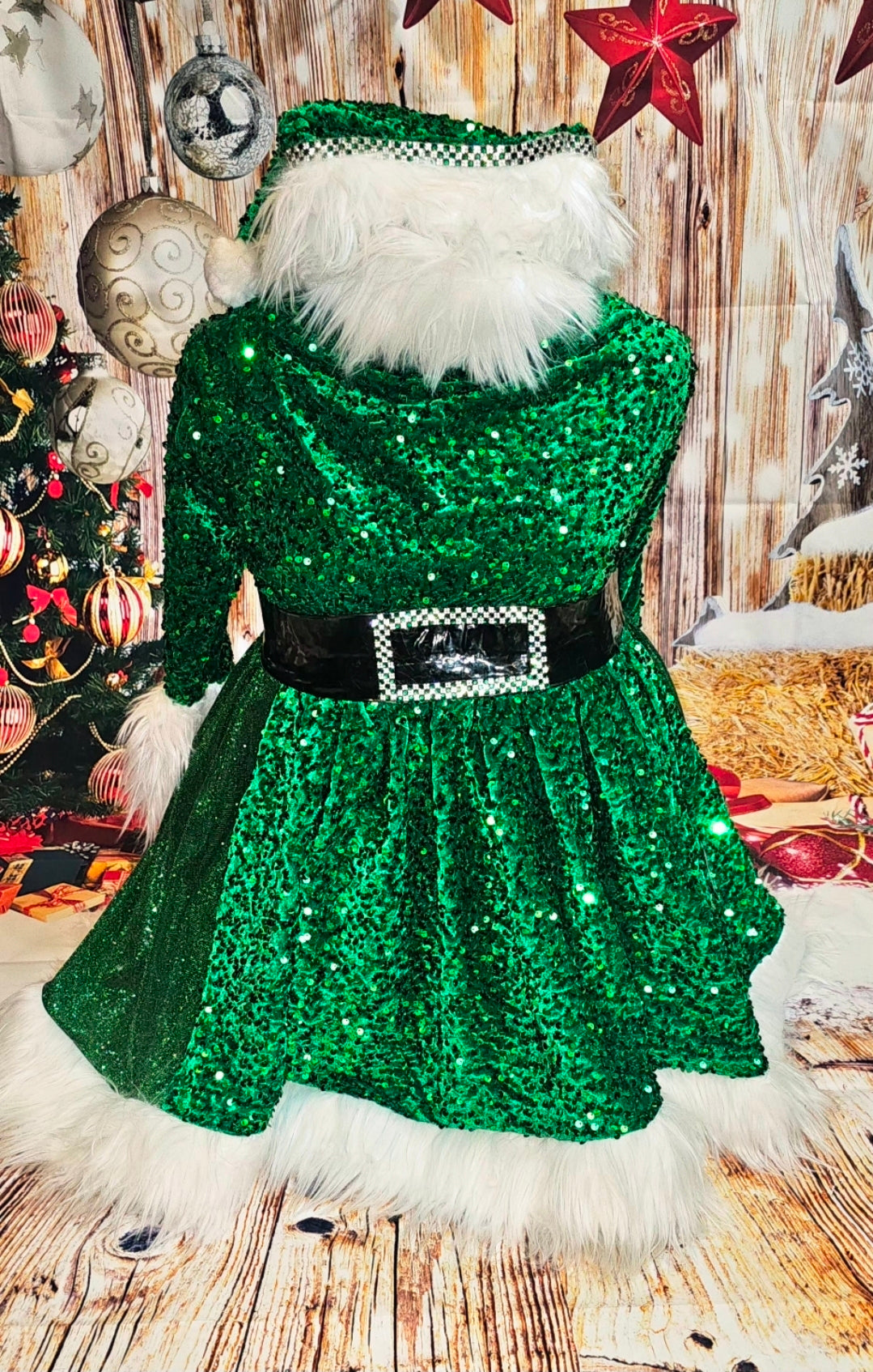 Green Miss Claus sequin pet costume, sequin green pet dress