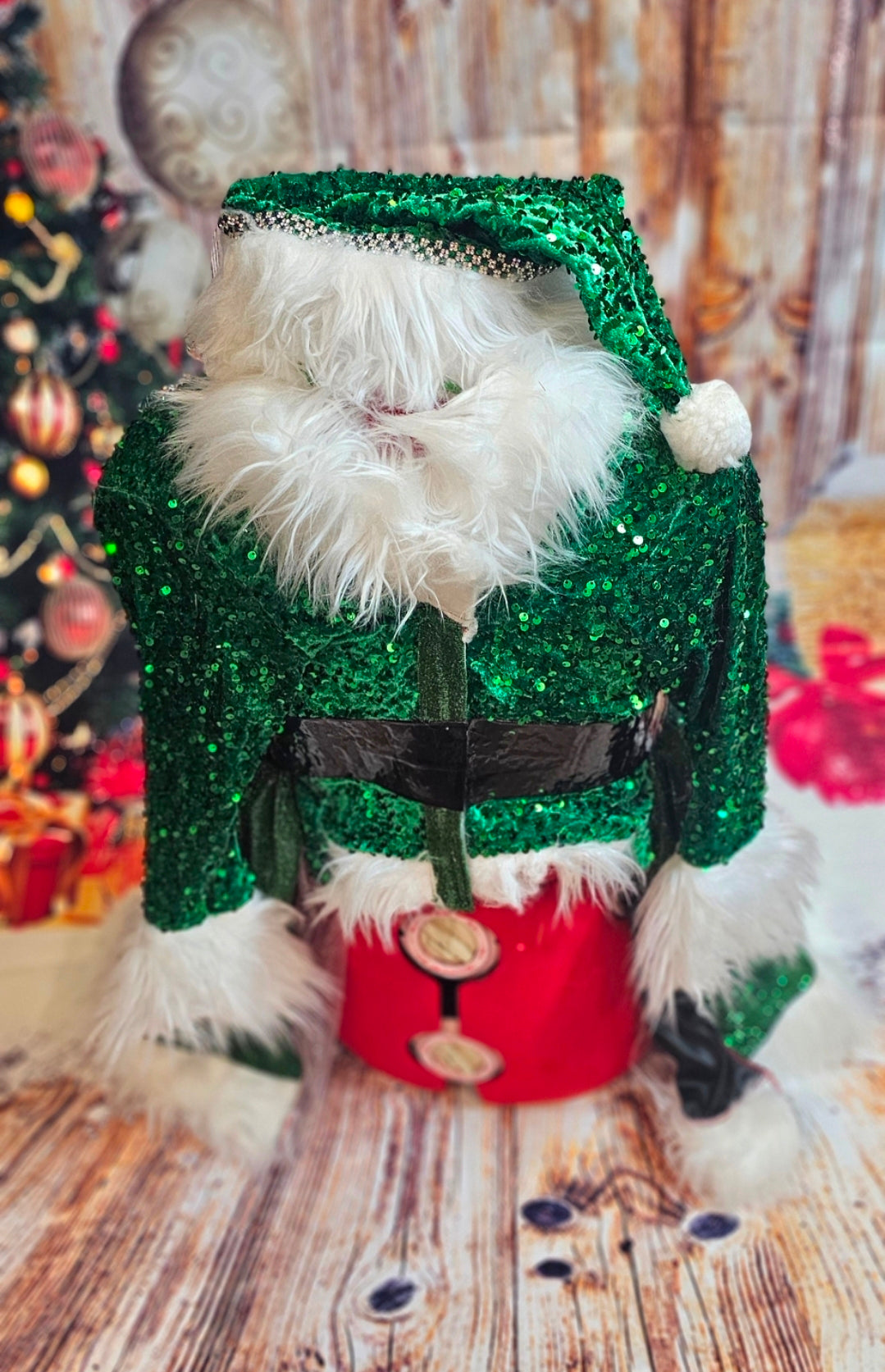Green Miss Claus sequin pet costume, sequin green pet dress