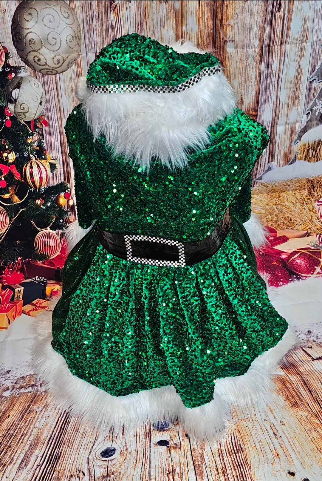 Green Miss Claus sequin pet costume, sequin green pet dress