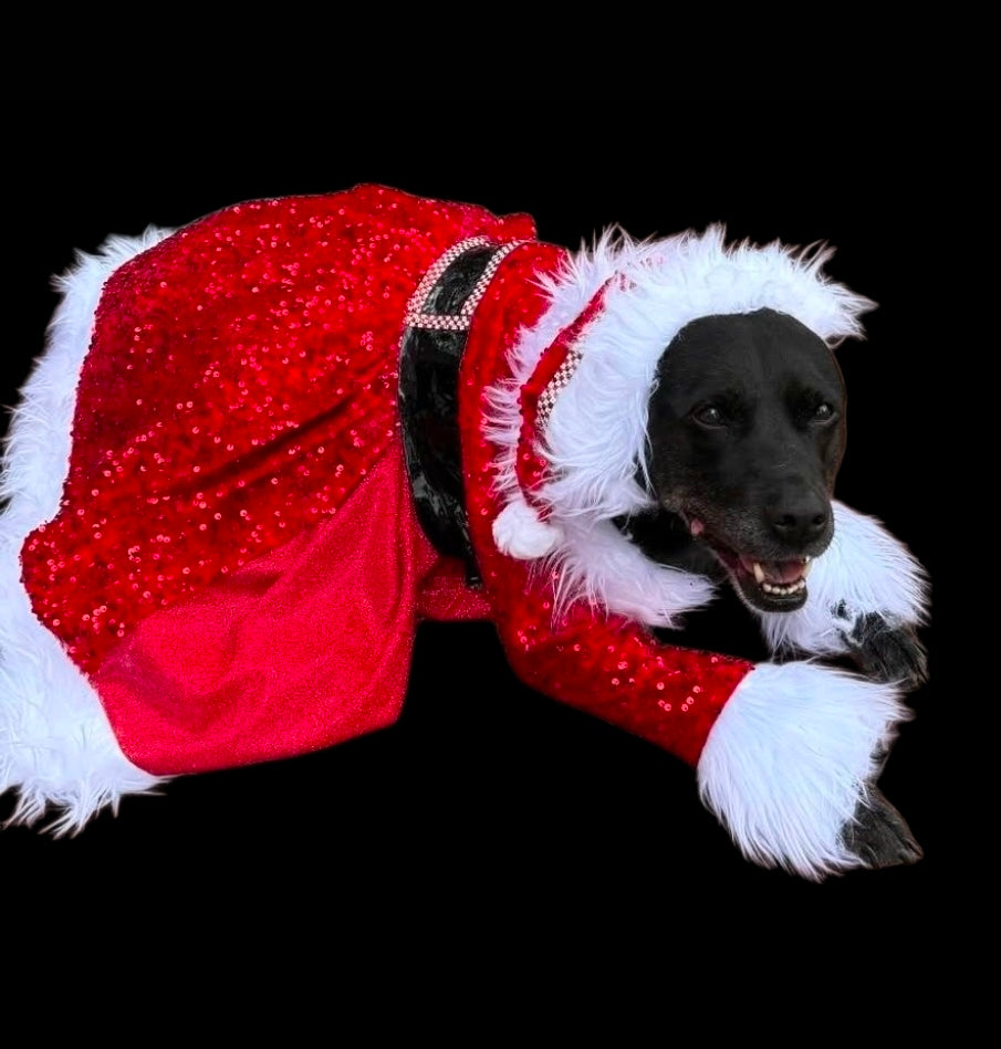 Red Miss Claus sequin pet costume, sequin red pet dress