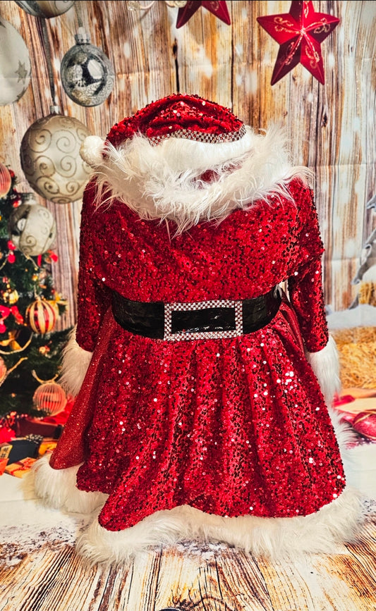 Red Miss Claus sequin pet costume, sequin red pet dress