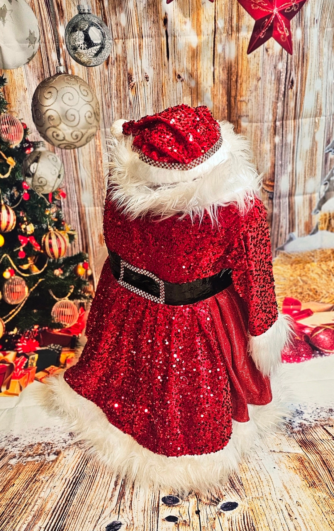 Red Miss Claus sequin pet costume, sequin red pet dress