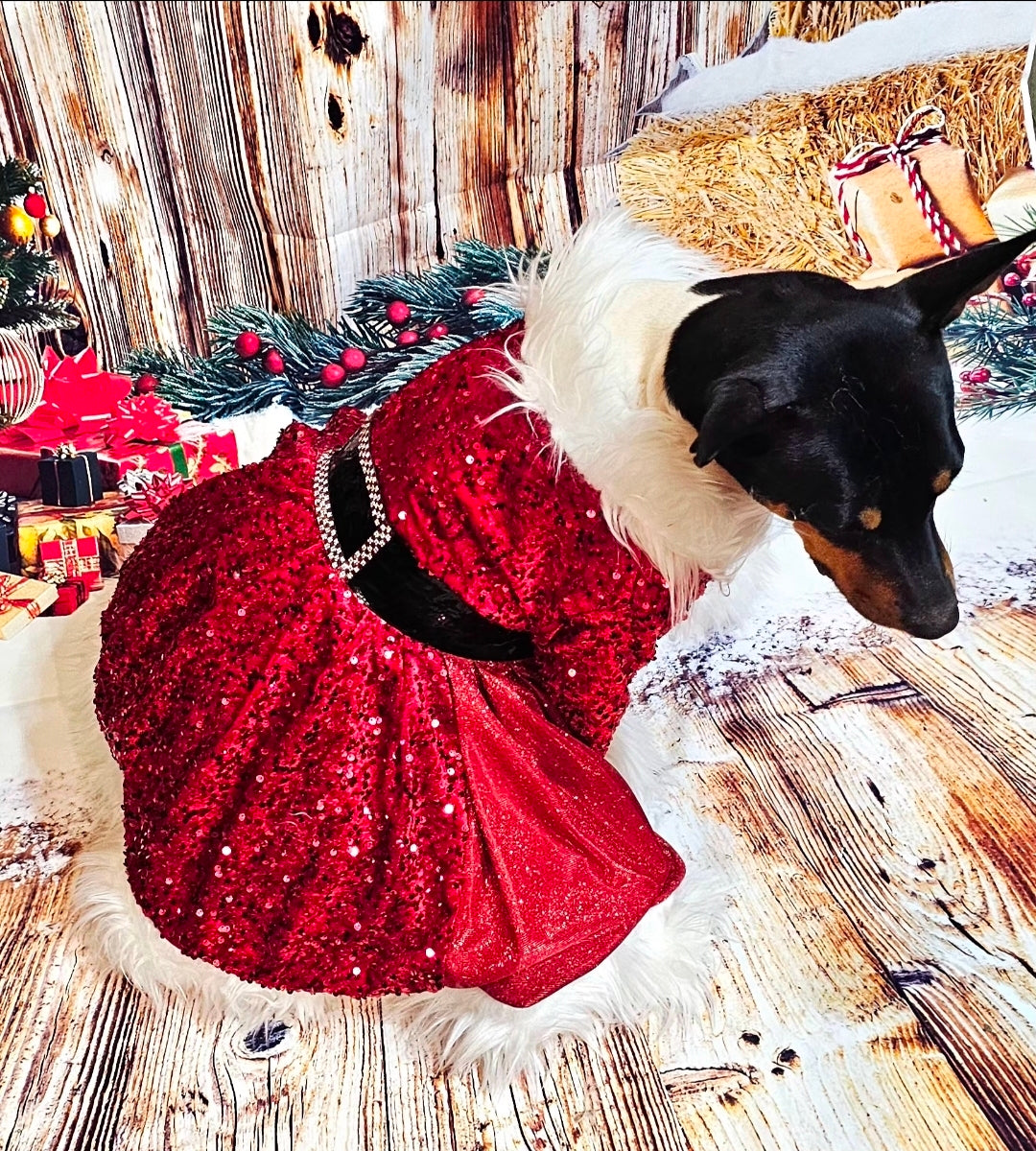Red Miss Claus sequin pet costume, sequin red pet dress