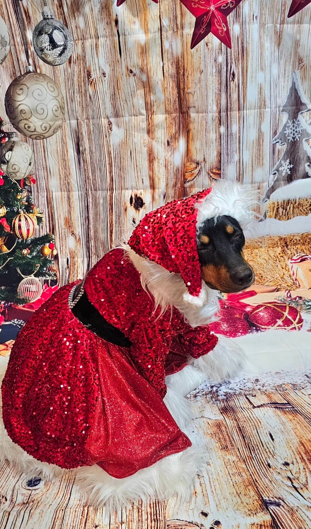 Red Miss Claus sequin pet costume, sequin red pet dress