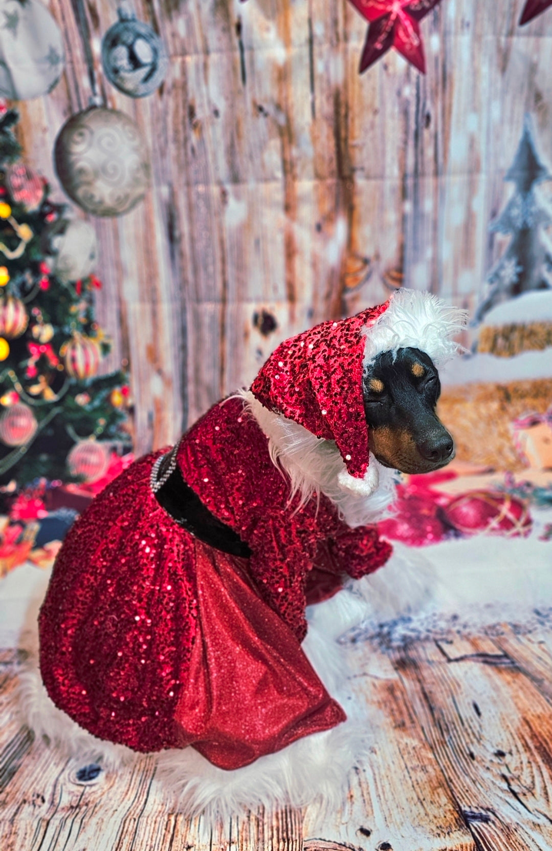 Red Miss Claus sequin pet costume, sequin red pet dress