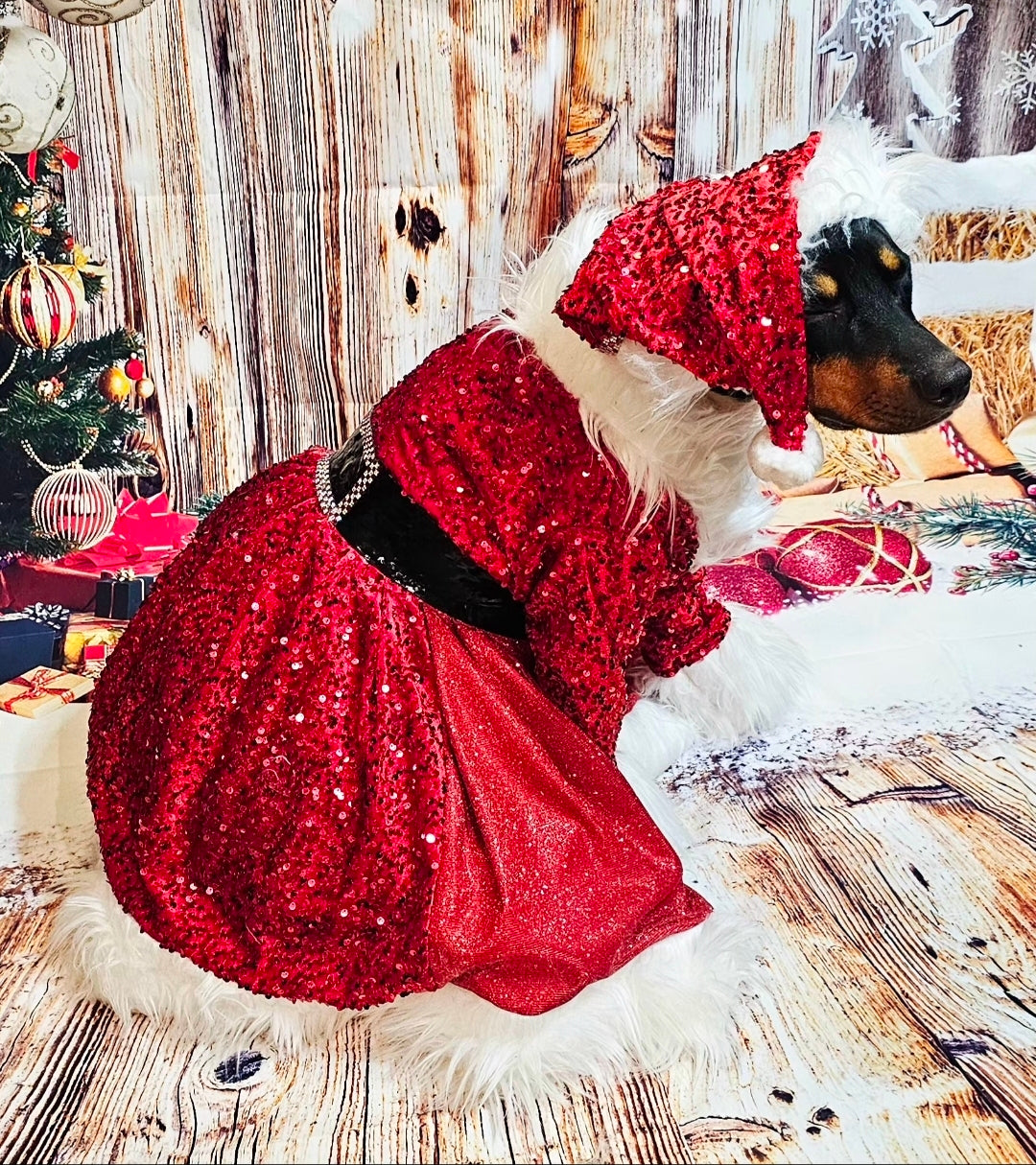 Red Miss Claus sequin pet costume, sequin red pet dress