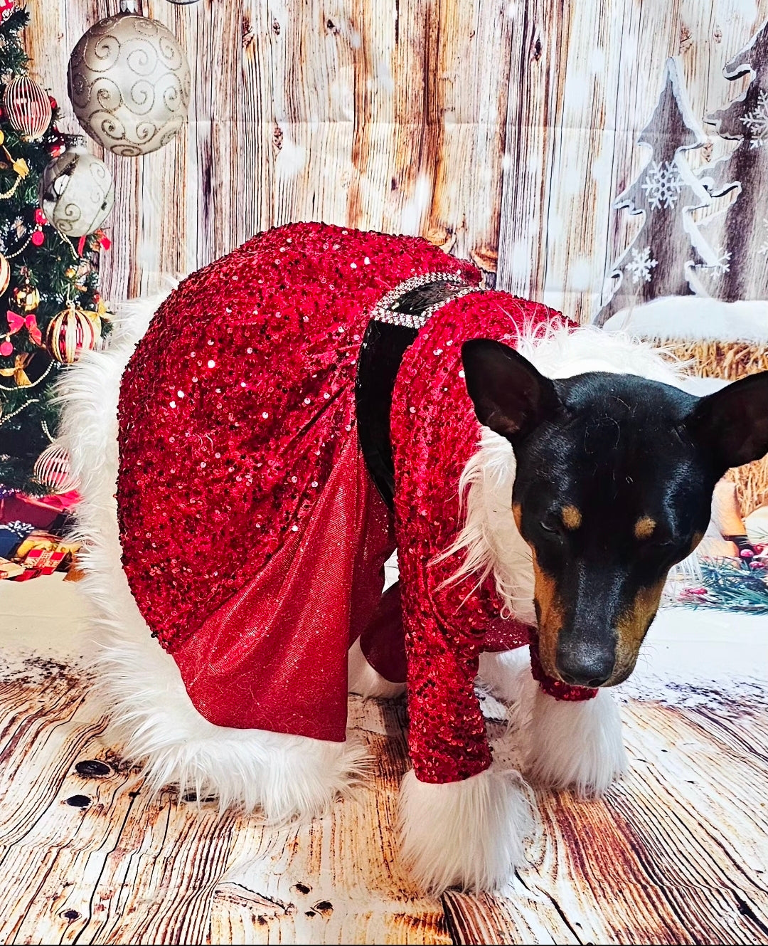 Red Miss Claus sequin pet costume, sequin red pet dress