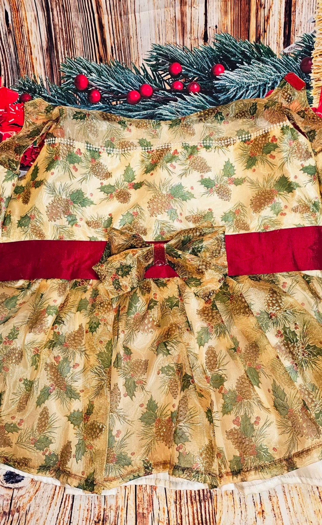 Holiday Pet Dress,  Holiday dog dress, mistle toe pet dress