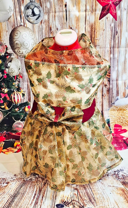 Holiday Pet Dress,  Holiday dog dress, mistle toe pet dress
