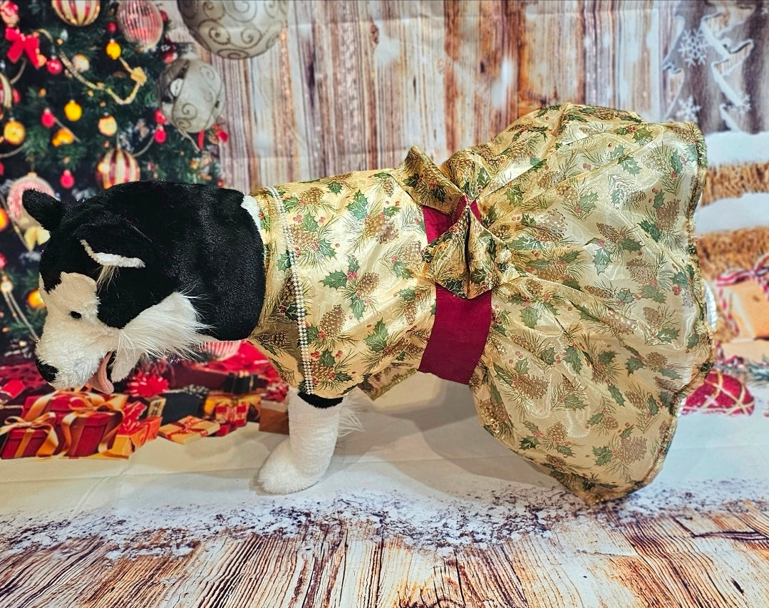 Holiday Pet Dress,  Holiday dog dress, mistle toe pet dress