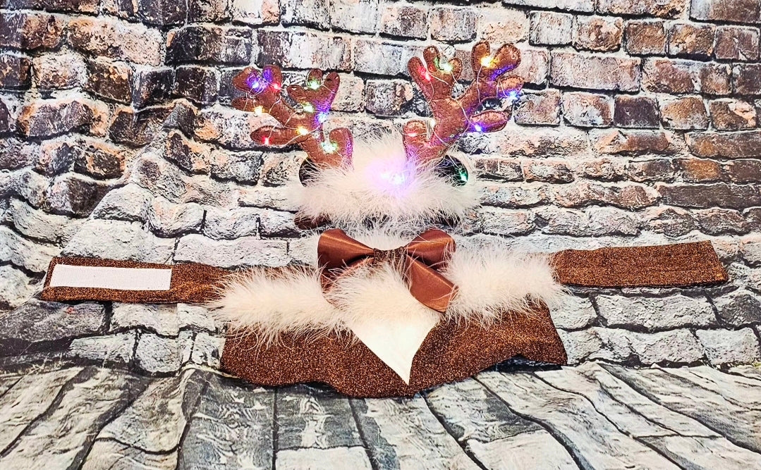 Reindeer light up pet costume
