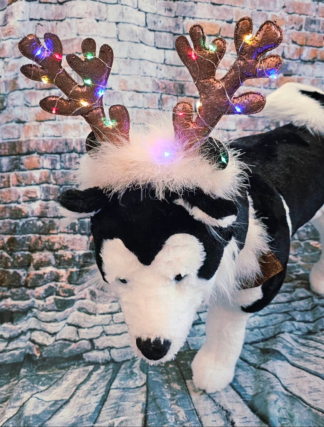 Reindeer light up pet costume