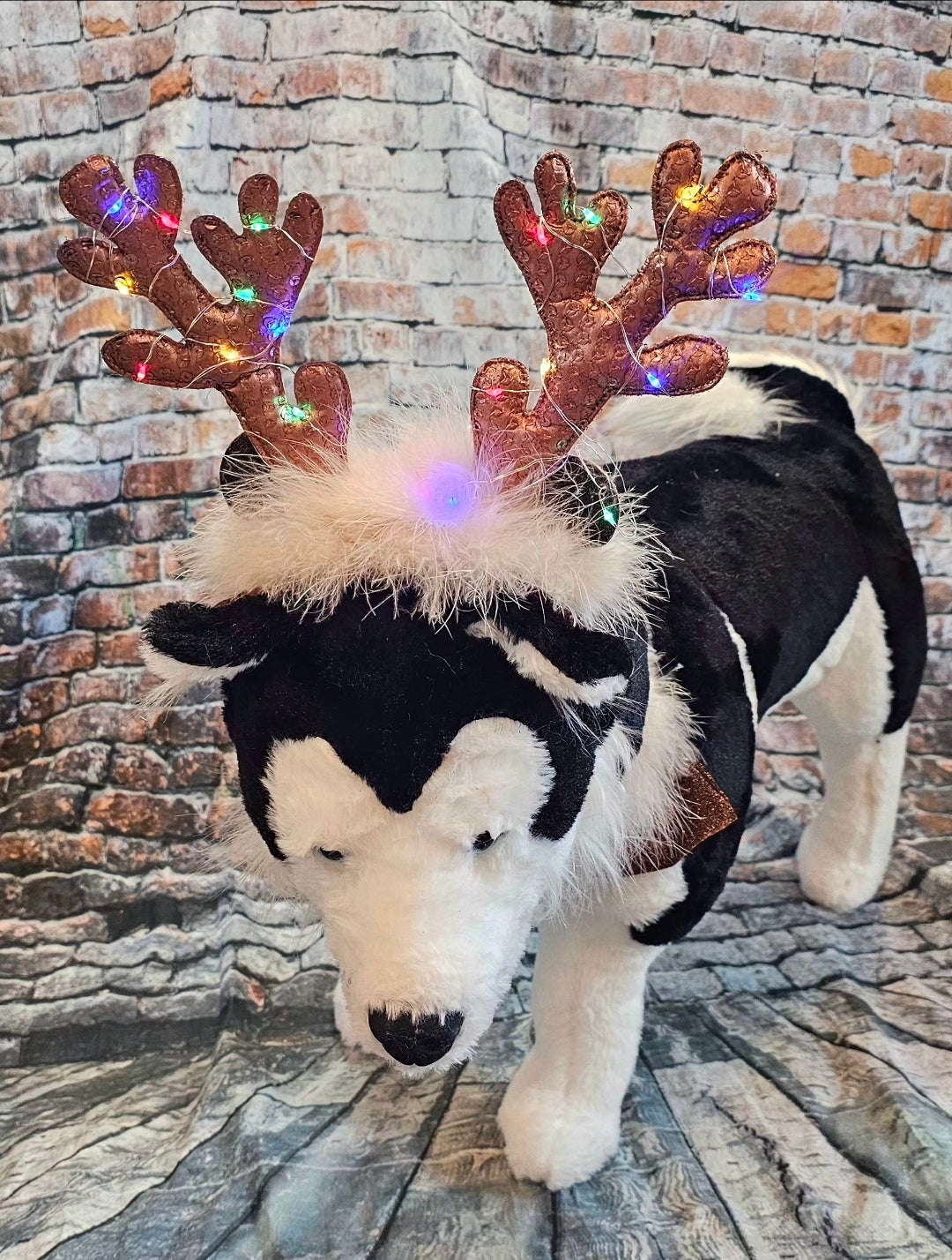 Reindeer light up pet costume