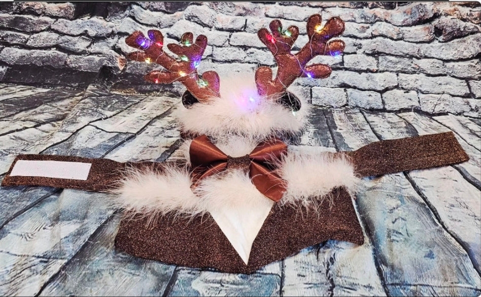Reindeer light up pet costume