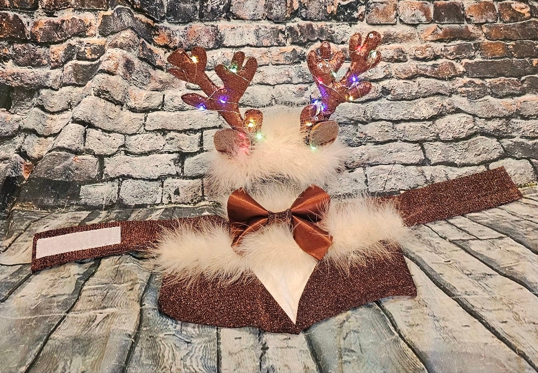Reindeer light up pet costume