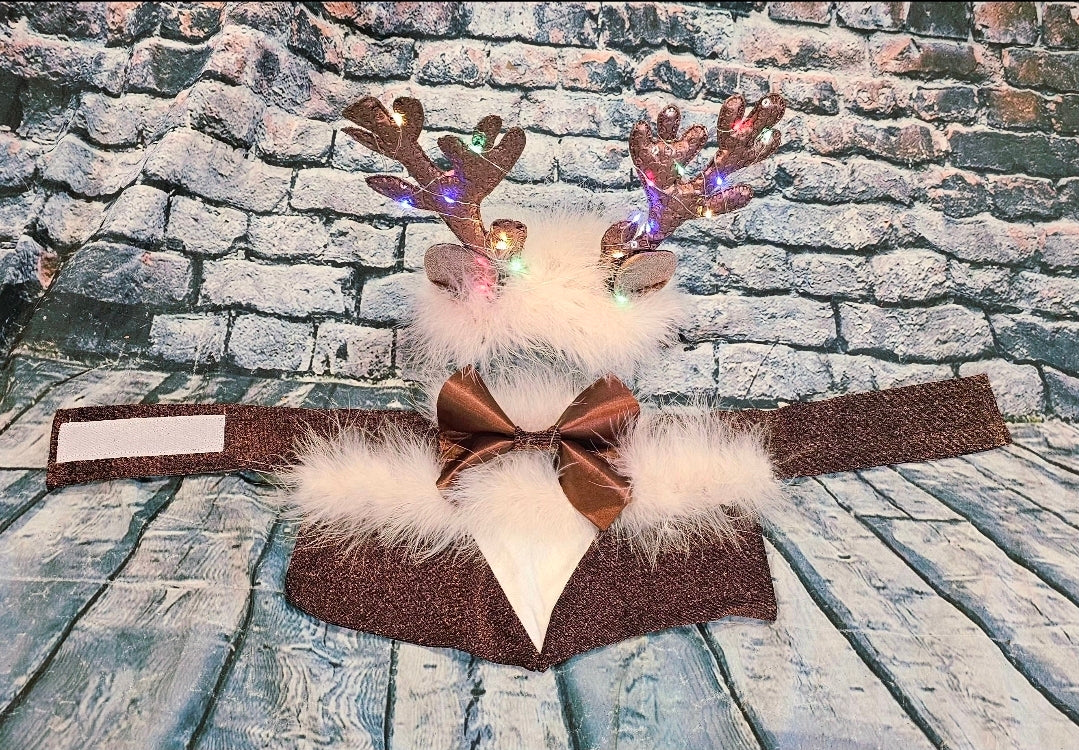 Reindeer light up pet costume