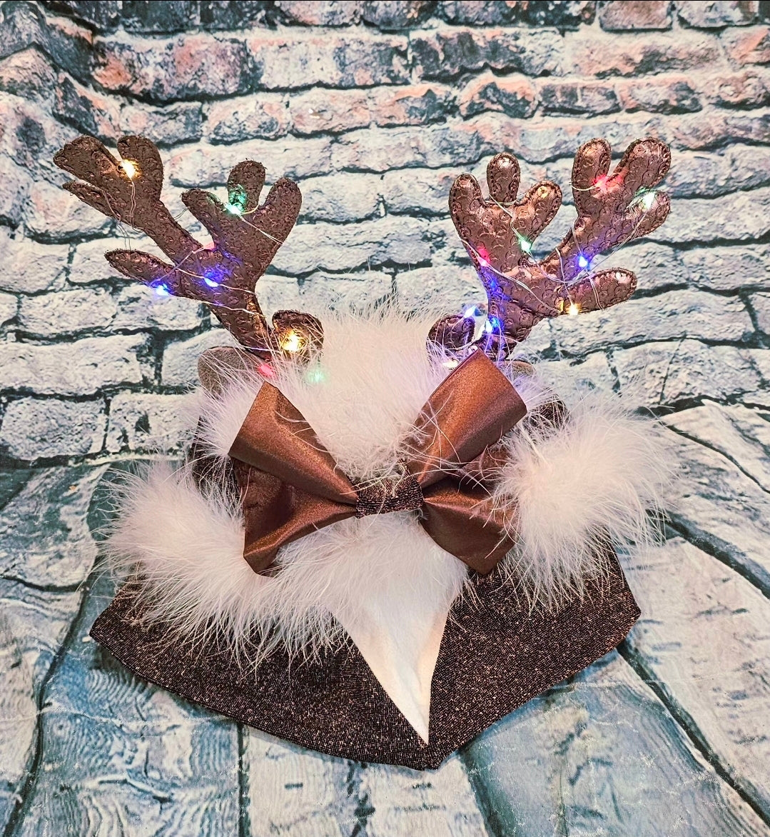 Reindeer light up pet costume