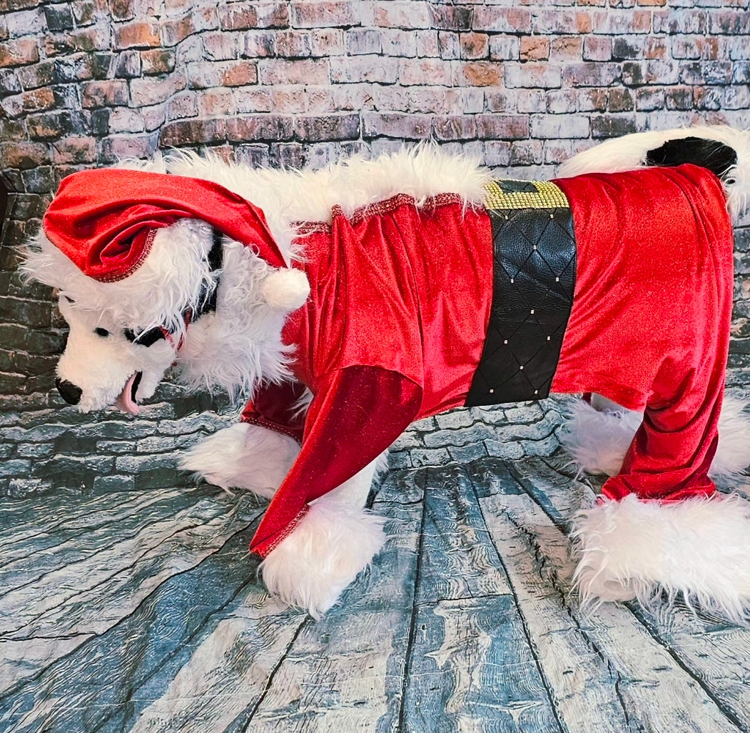 Santa pet body suit, Santa Claus dog costume, Santa Claus cat costume