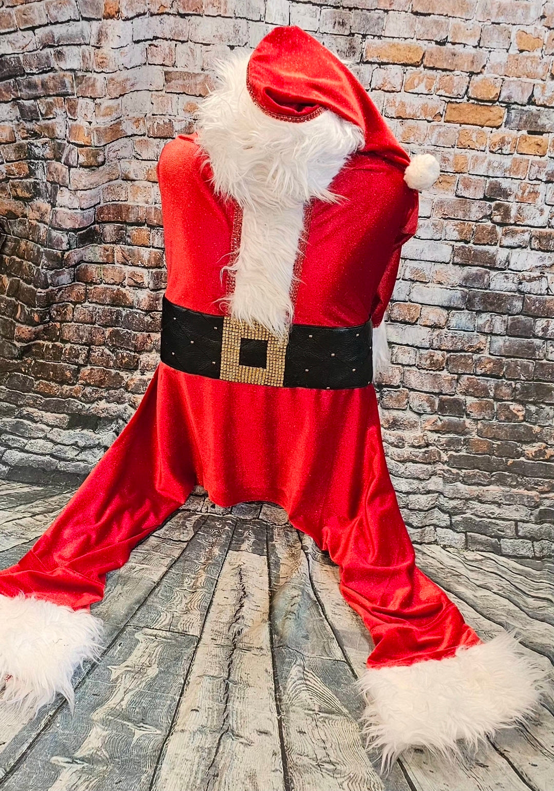 Santa pet body suit, Santa Claus dog costume, Santa Claus cat costume