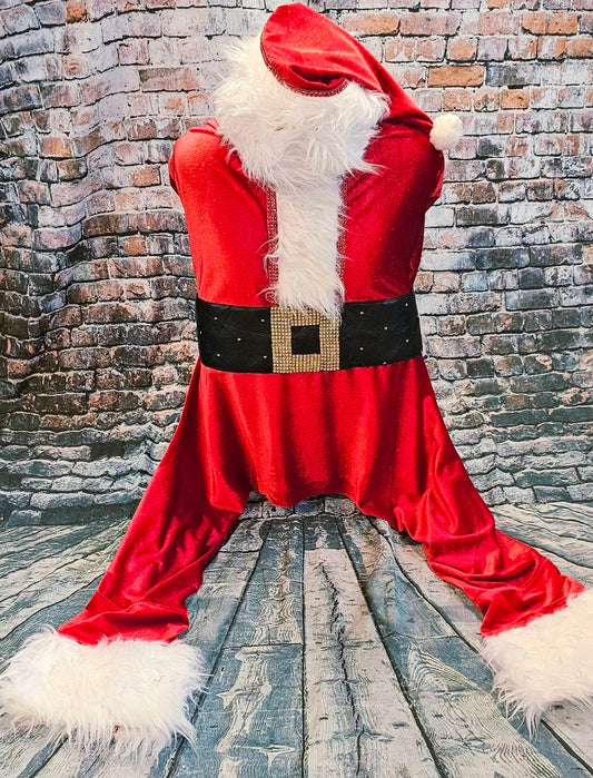 Santa pet body suit, Santa Claus dog costume, Santa Claus cat costume