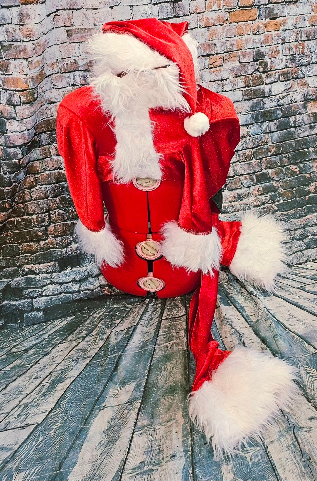 Santa pet body suit, Santa Claus dog costume, Santa Claus cat costume