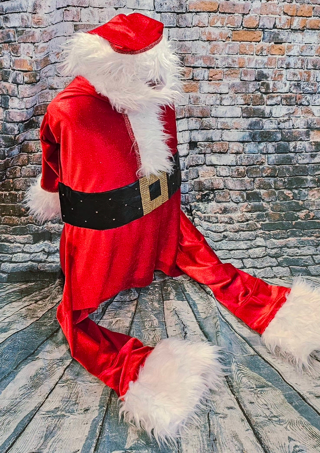Santa pet body suit, Santa Claus dog costume, Santa Claus cat costume