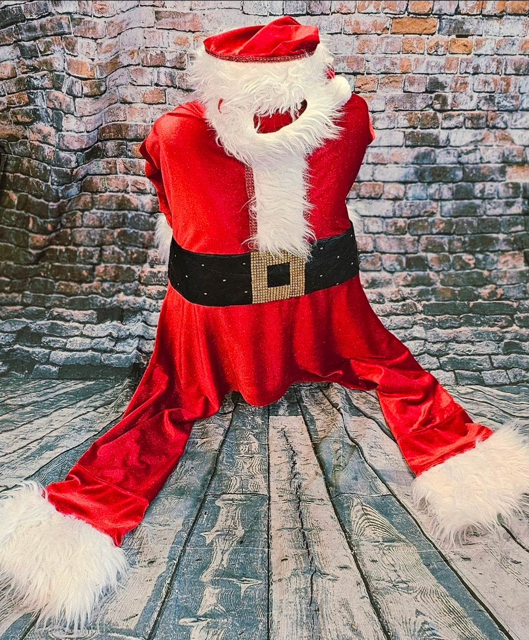 Santa pet body suit, Santa Claus dog costume, Santa Claus cat costume